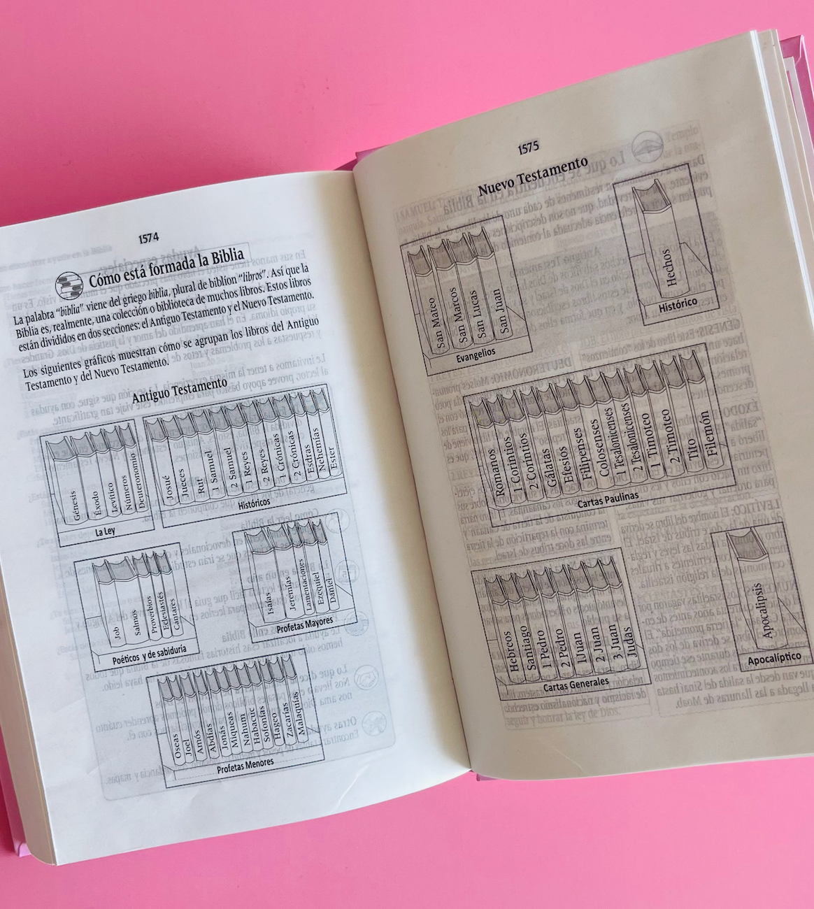 BIBLIA MILLCA ELEGIDA ROSADA (pequeña)