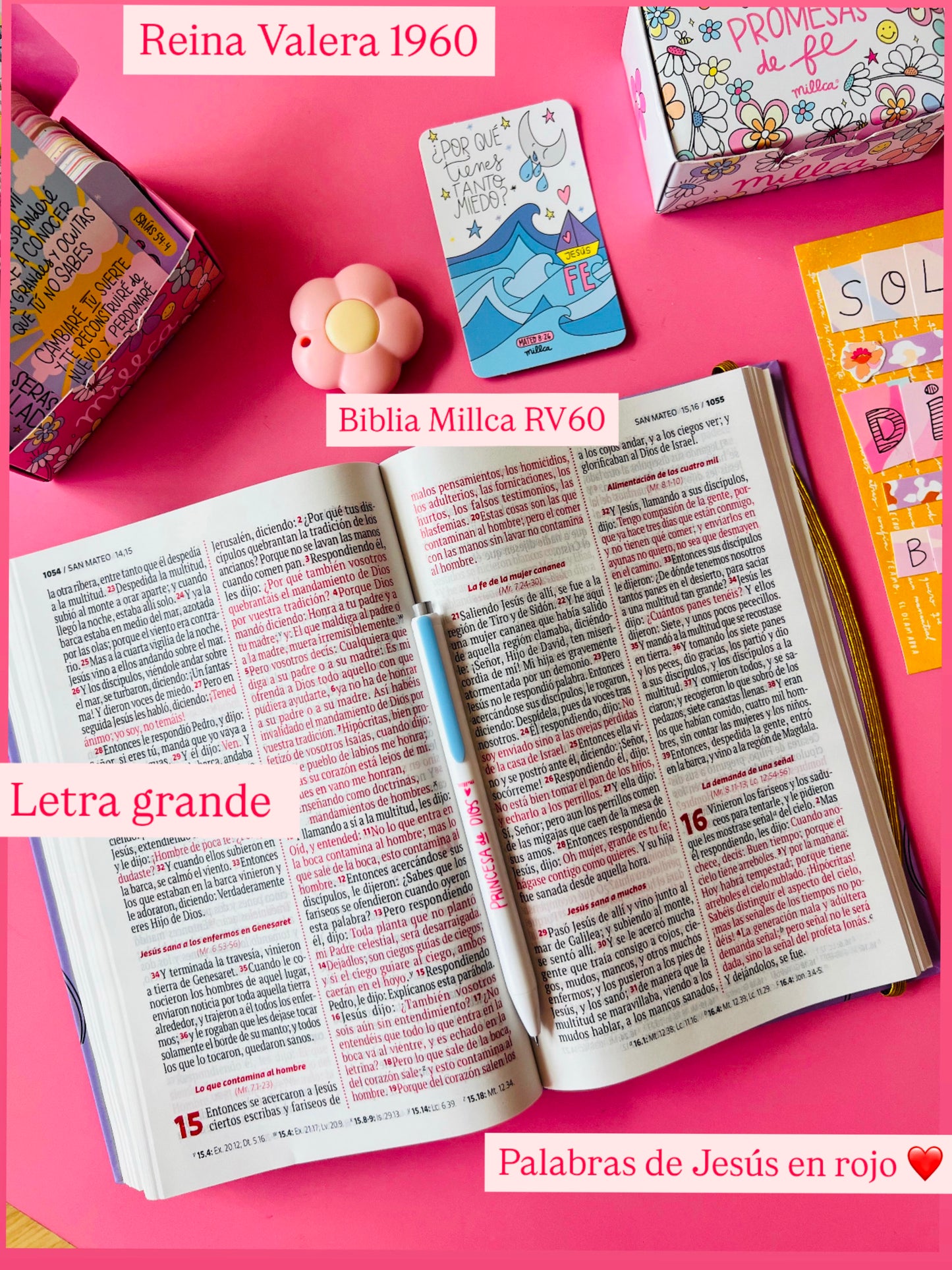 BIBLIA MILLCA RV60 TIEMPO