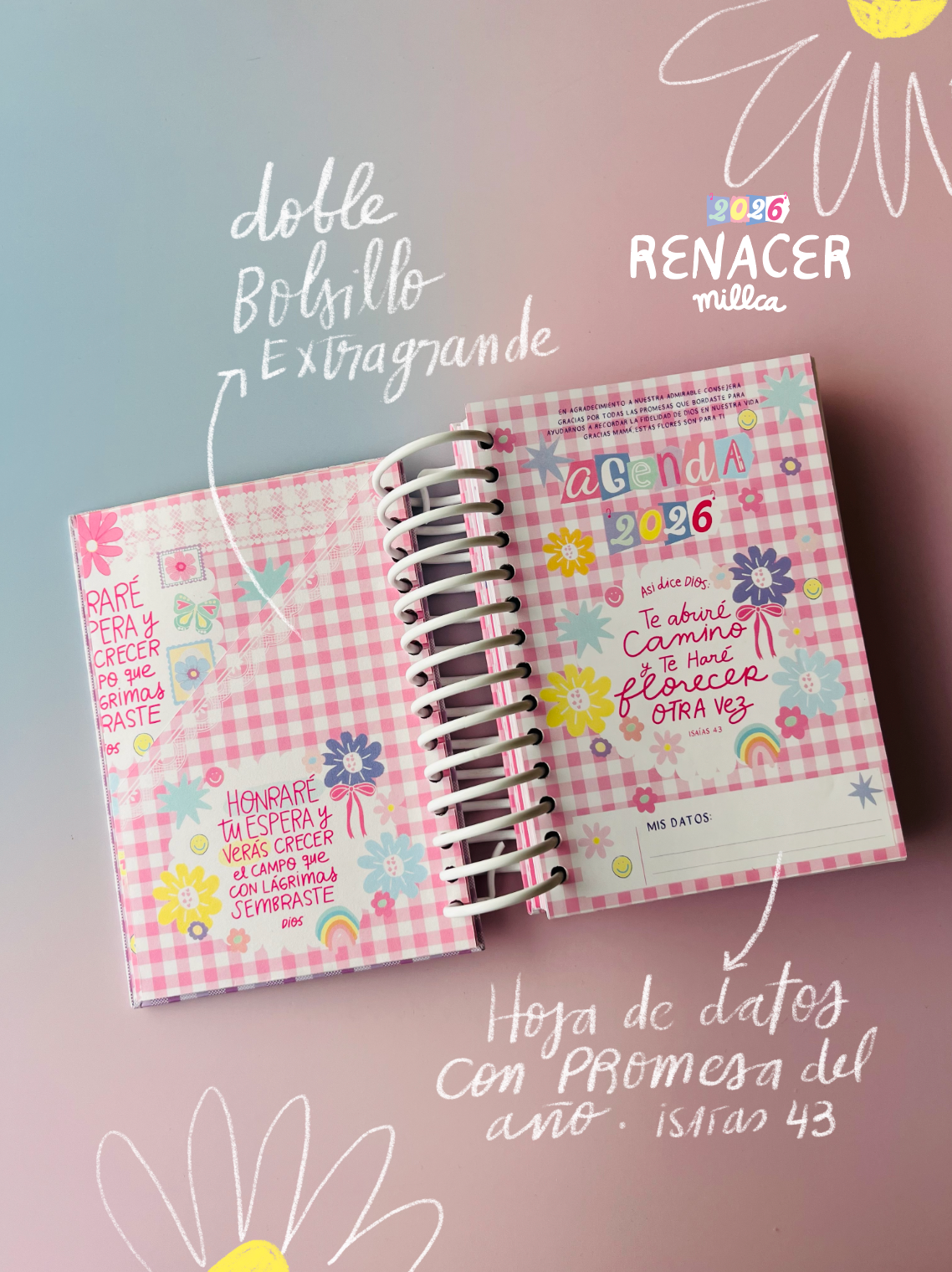 AGENDA 2026 DECLARO + GRATIS CALENDARIO