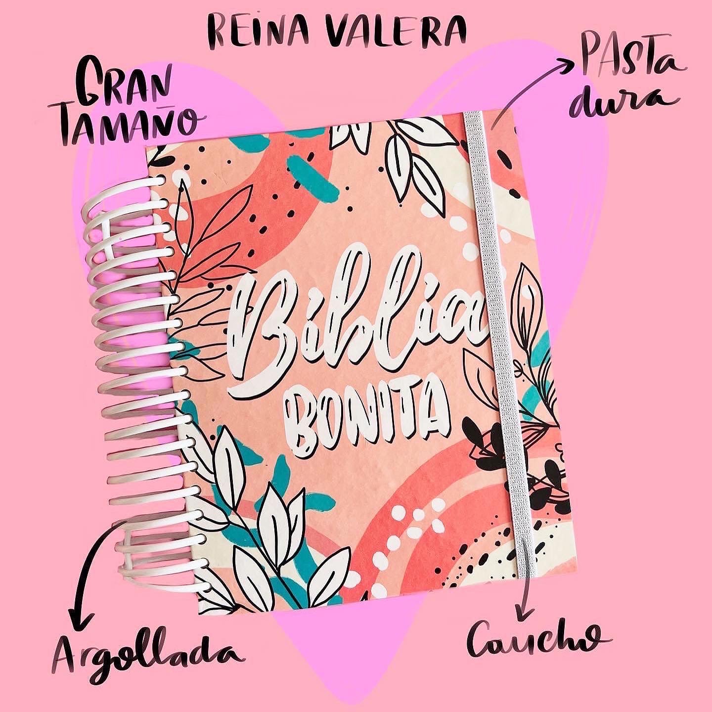 BIBLIA BONITA