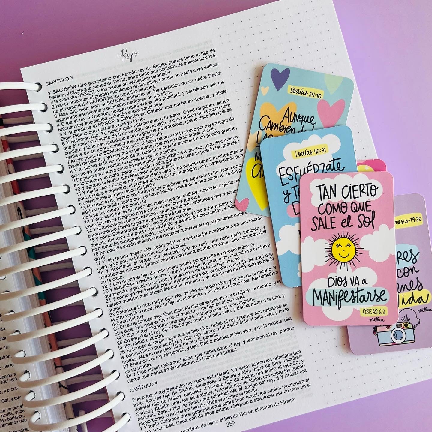 BIBLIA BONITA