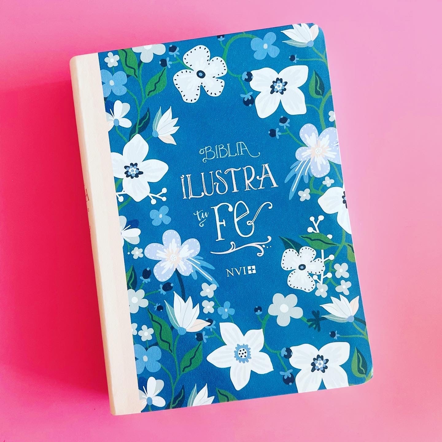 BIBLIA ILUSTRA TU FE AZUL