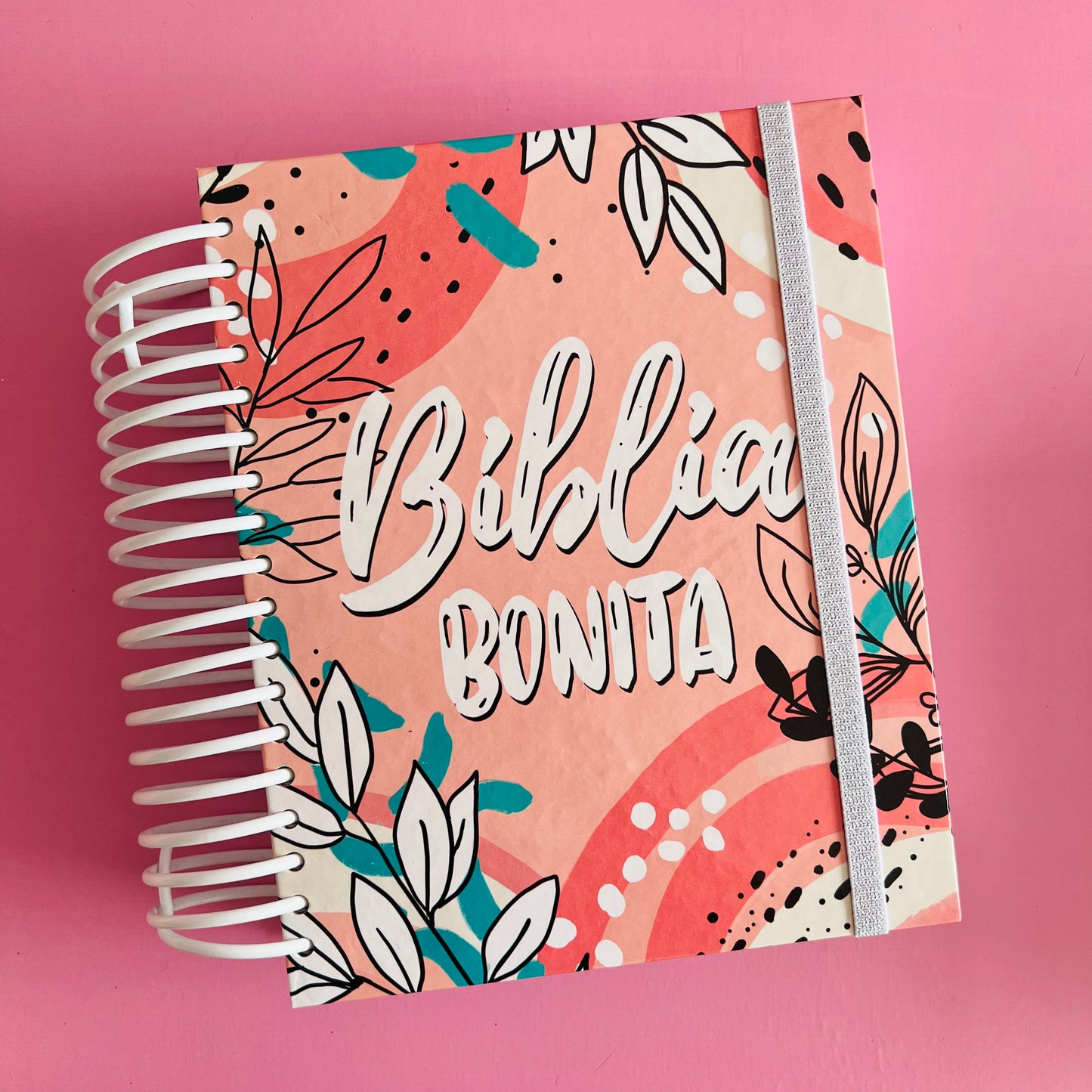 BIBLIA BONITA
