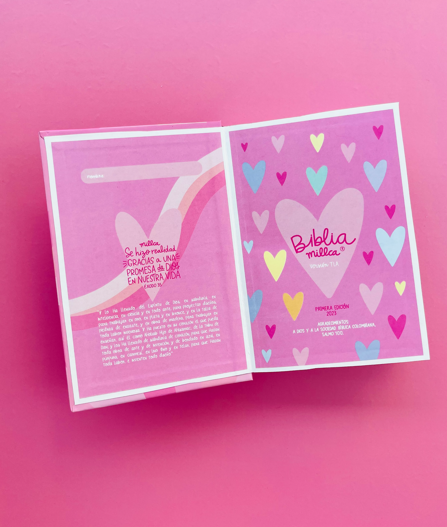 BIBLIA MILLCA ELEGIDA ROSADA (pequeña)