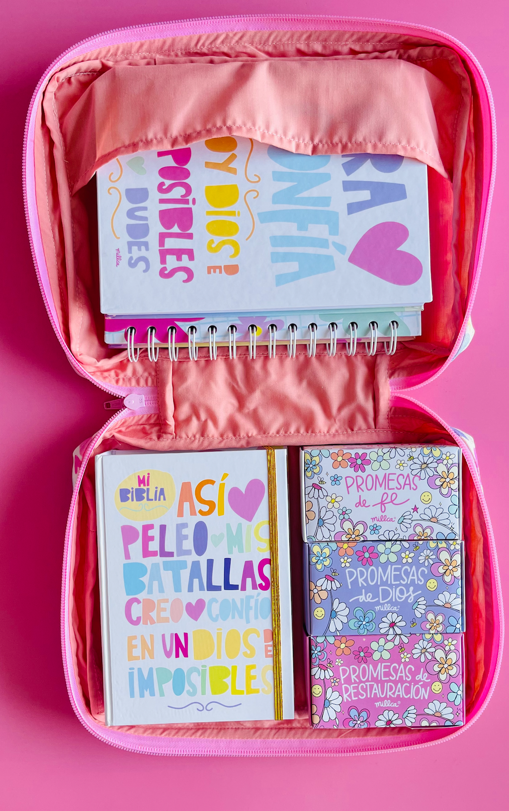 BOLSO MILLCA