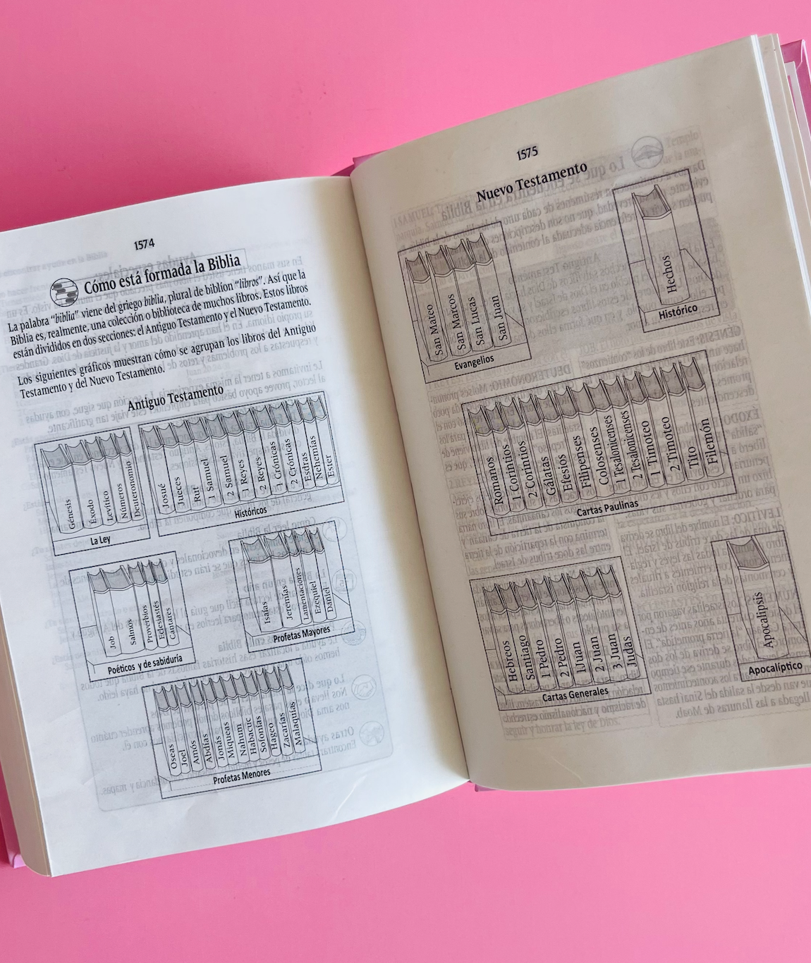 BIBLIA MILLCA TLA MUJER VIRTUOSA