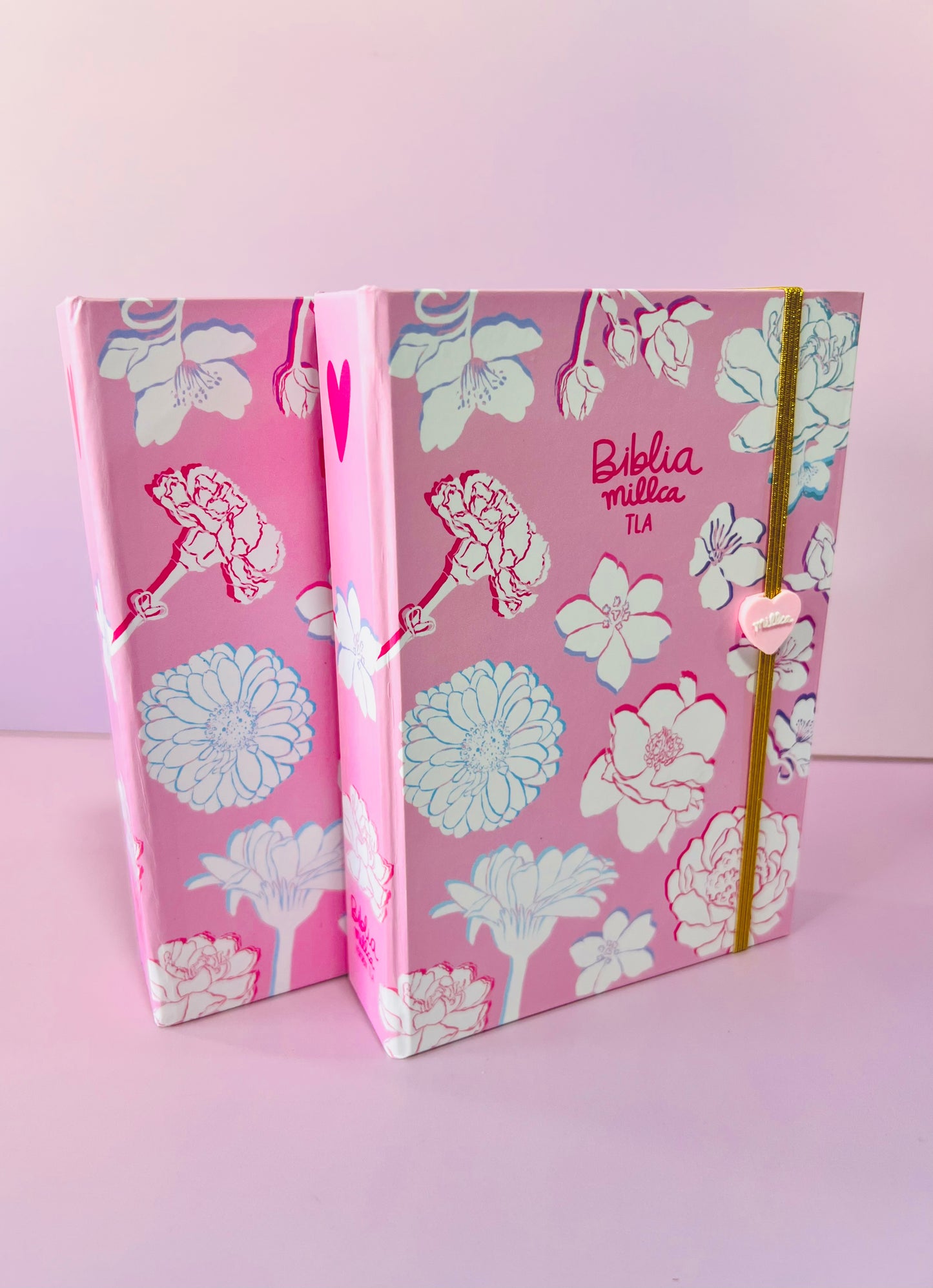 BIBLIA MILLCA ROSAS (pequeña)