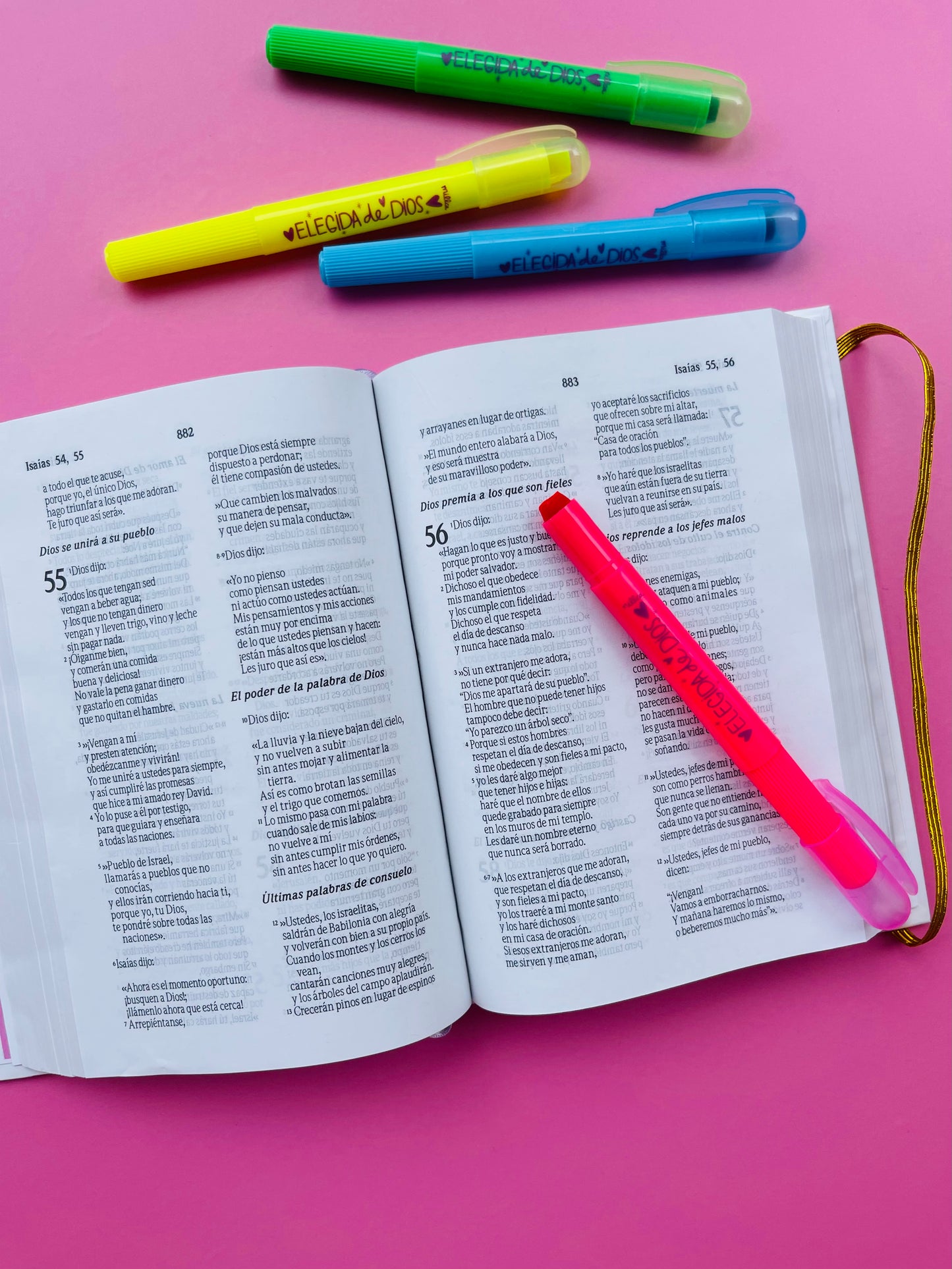 BIBLIA MILLCA JESÚS (pequeña)