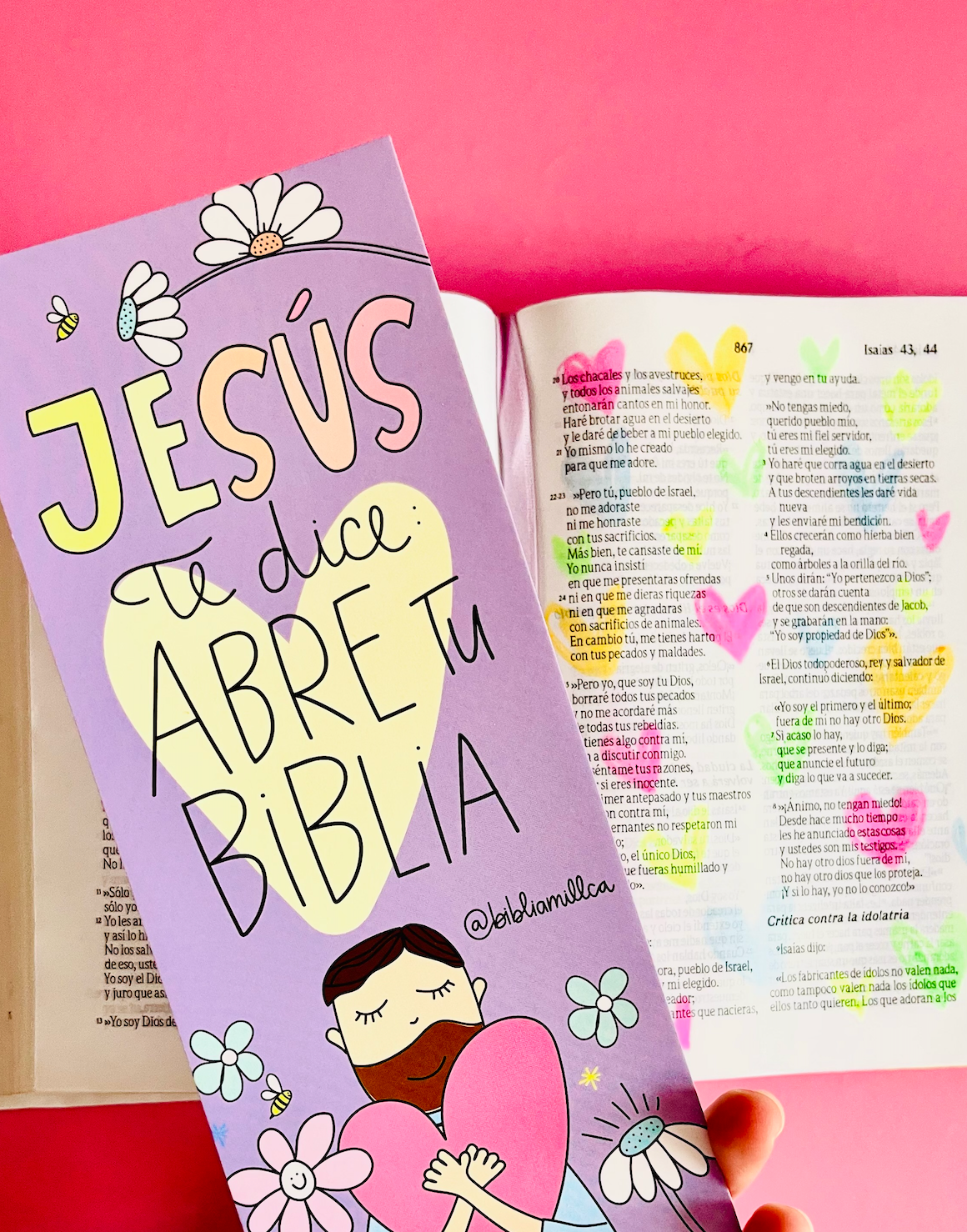 BIBLIA MILLCA JOURNAL TLA (pequeña)