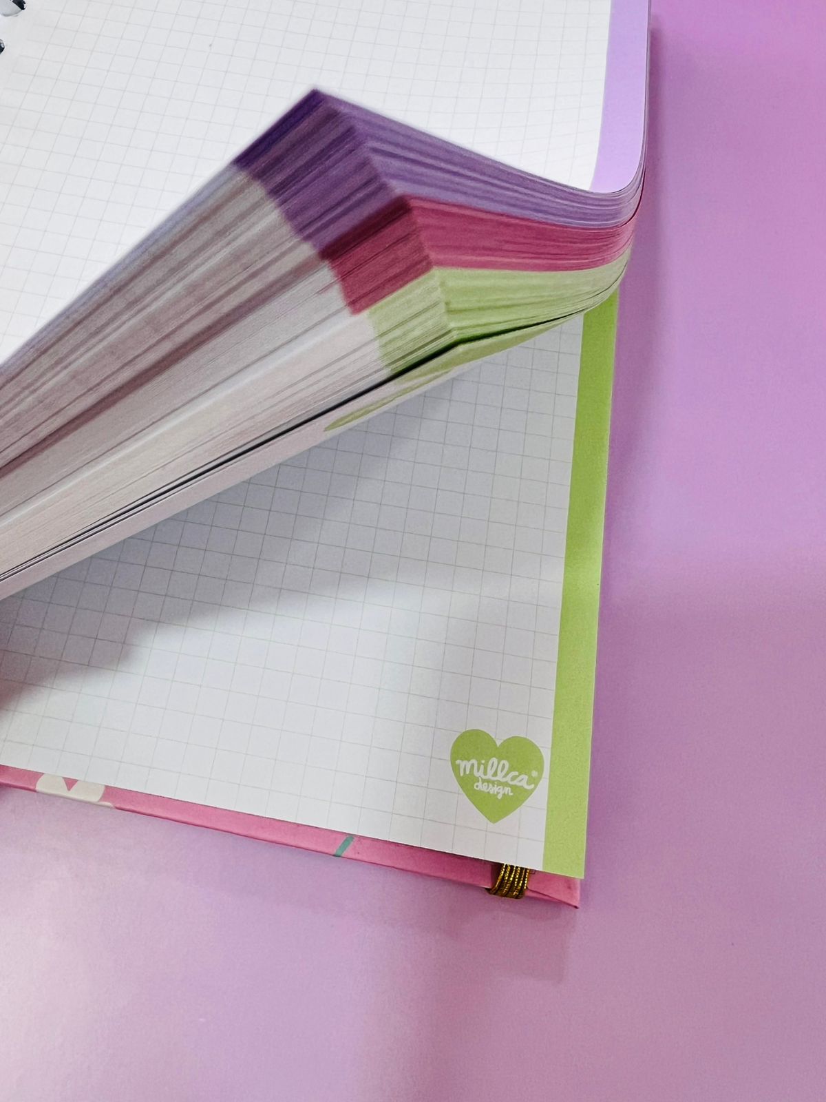 CUADERNO 5 MATERIAS DIOS CONTIGO