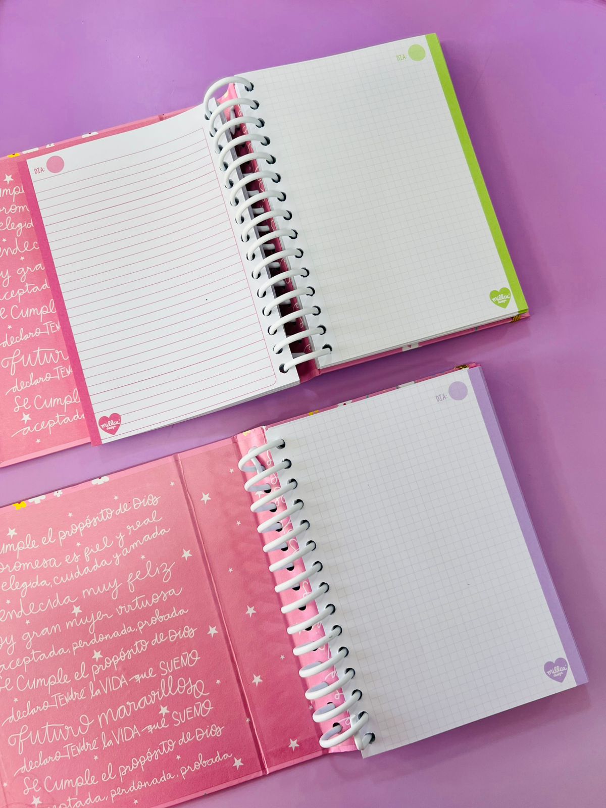 CUADERNO 5 MATERIAS ELEGIDA