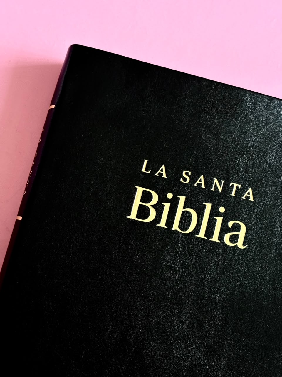 BIBLIA MILLCA REINA VALERA