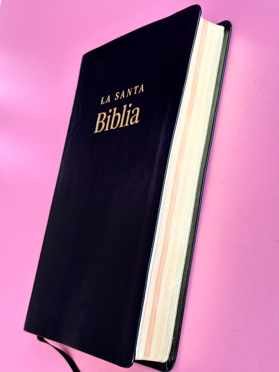 BIBLIA MILLCA REINA VALERA