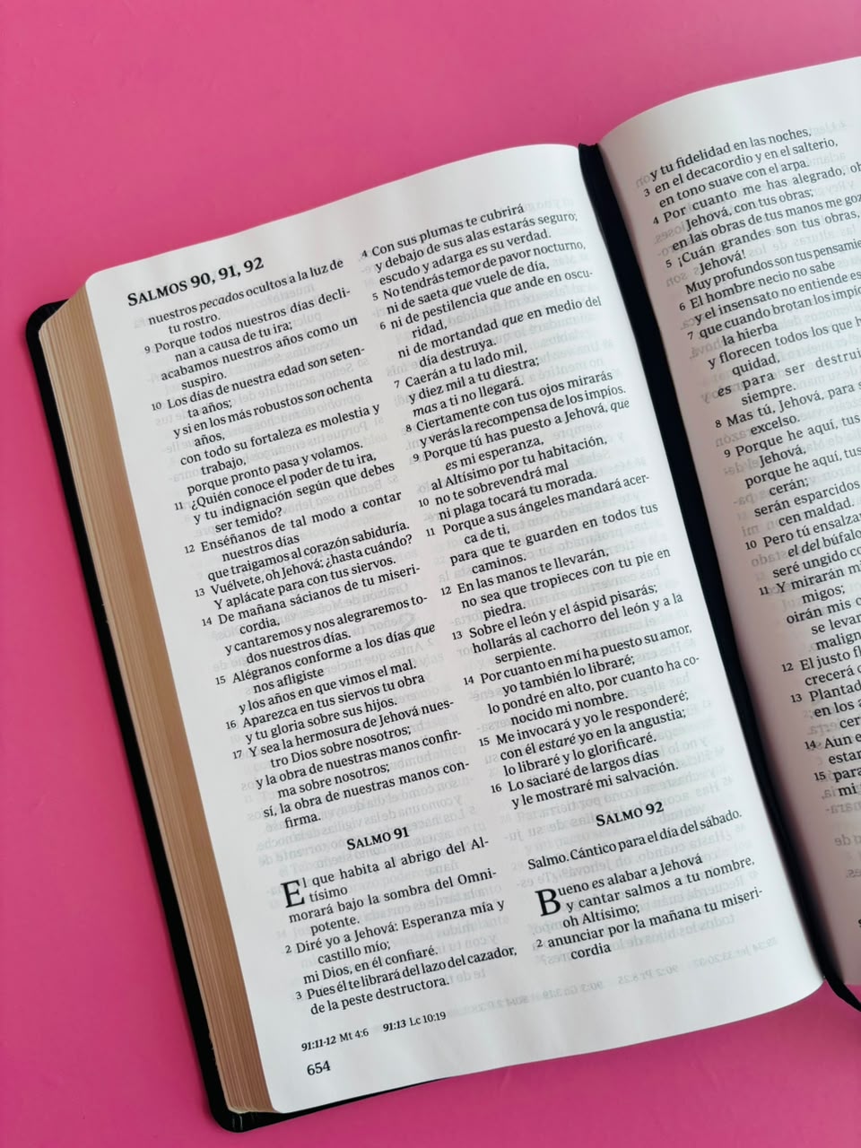 BIBLIA MILLCA REINA VALERA