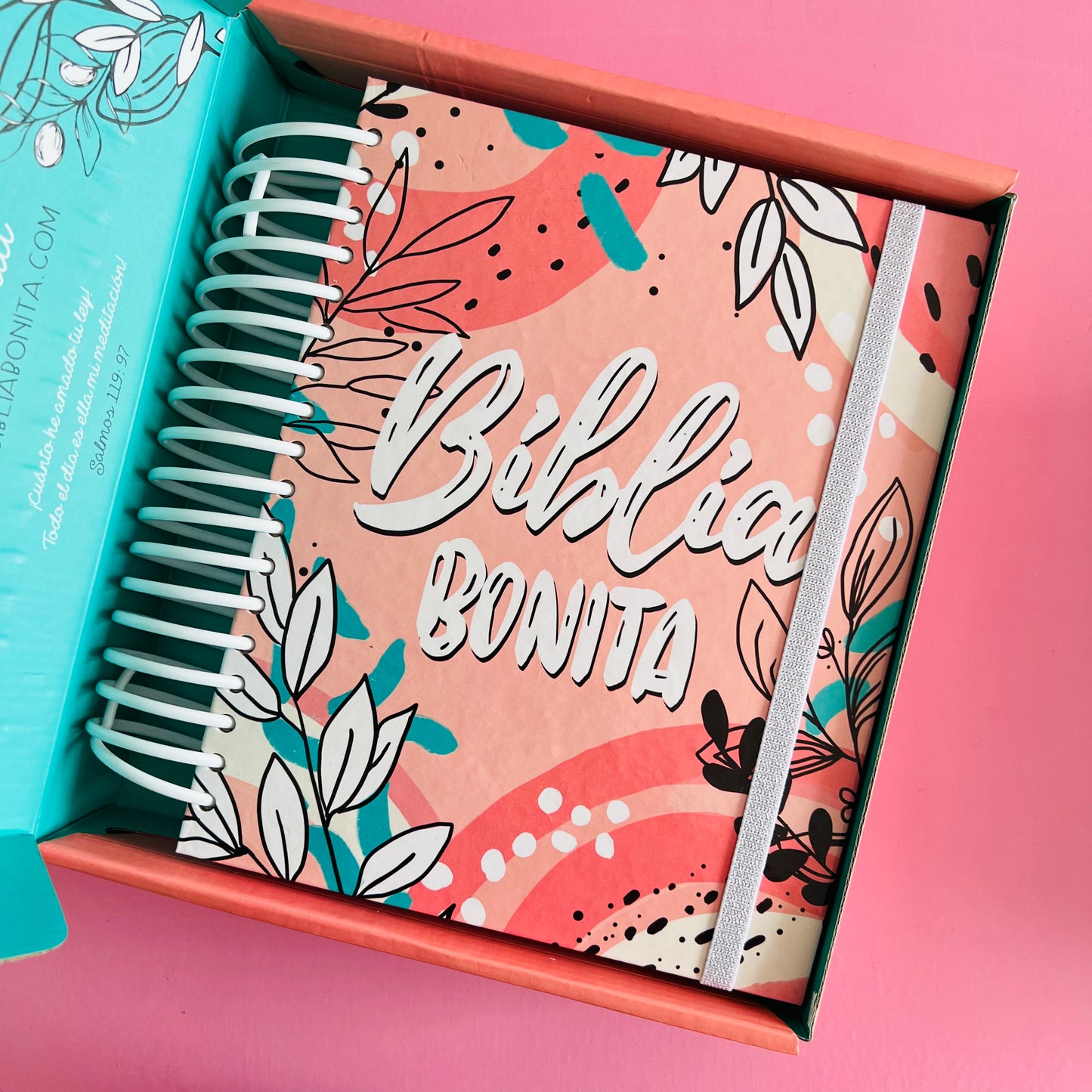 BIBLIA BONITA